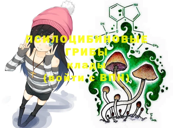 гидропоника Зеленокумск