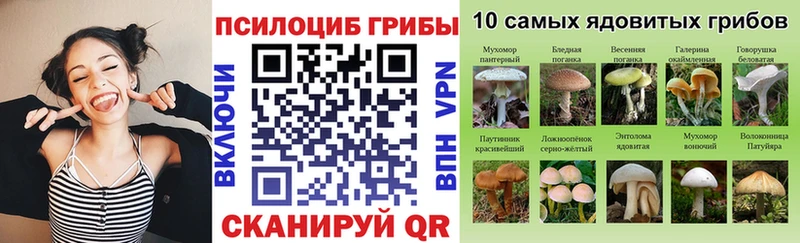 Купить где  Элиста  Галлюциногенные грибы мухоморы 