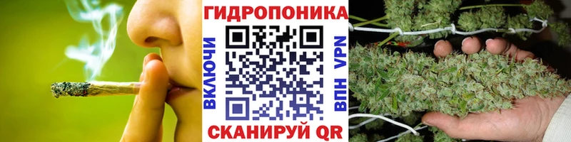 Купить где  Элиста  Бошки марихуана OG Kush 